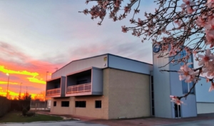 SDT Sankyo Desarrollos Técnicos, ingeniería alavesa ubicada en Alegría-Dulantzi